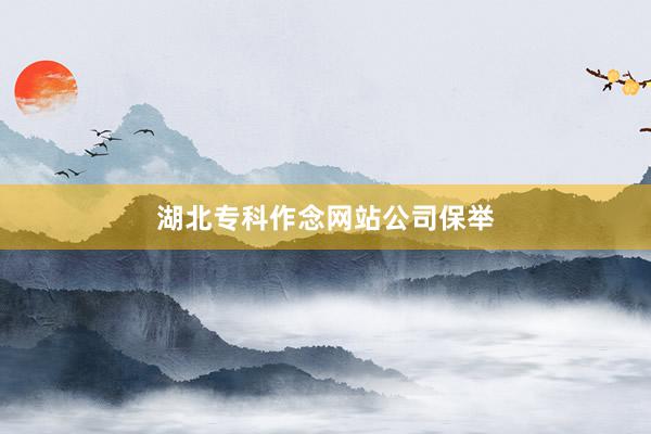 湖北专科作念网站公司保举