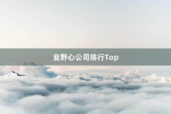 业野心公司排行Top