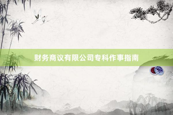财务商议有限公司专科作事指南
