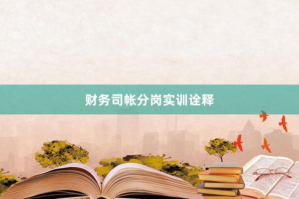 财务司帐分岗实训诠释